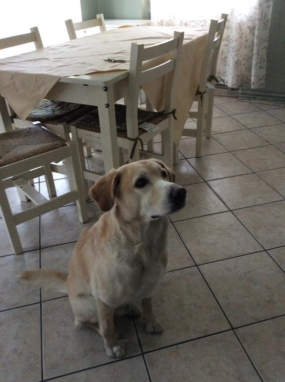 Appartamento Perla